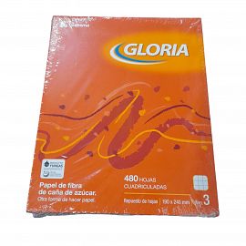 REPUESTO DE HOJAS N*3 X 480 HOJAS CUADRICULADAS GLORIA